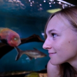 Sabrina. Apprentie. Aquarium à Villeurbanne. Aquariophile, ça commence comme à quoi rêvent les jeunes filles, ça finit on ne sait où, là où brillera la fantaisie.