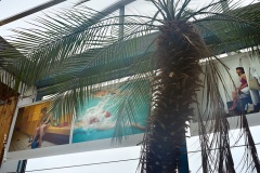 1101-passes-passages1628