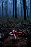 © Ernesto Timor, 2008