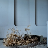 © Ernesto Timor, 2010