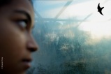 © Ernesto Timor, 2014