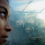 © Ernesto Timor, 2014
