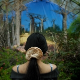 © Ernesto Timor, 2012