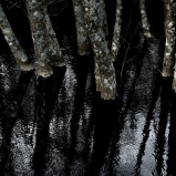 © Ernesto Timor, 2014