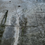© Ernesto Timor, 2014