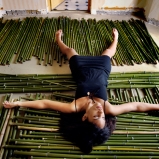 Apparitions à la maison de bambou - 02 Apparitions à la maison de bambou - 02