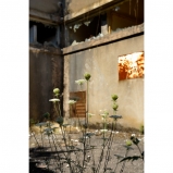 Le grand disjonctage - p. 7 Le grand disjonctage - p. 7