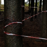 Le Périmètre – p. 10 Le Périmètre – p. 10