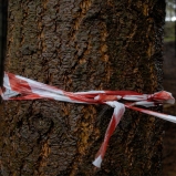 Le Périmètre – p. 11 Le Périmètre – p. 11