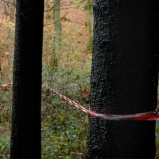 Le Périmètre – p. 12 Le Périmètre – p. 12