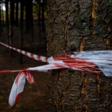 Le Périmètre – p. 13 Le Périmètre – p. 13