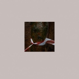 Le Périmètre – p. 14 Le Périmètre – p. 14