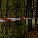 Le Périmètre – p. 3 Le Périmètre – p. 3