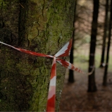 Le Périmètre – p. 4 Le Périmètre – p. 4