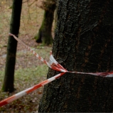 Le Périmètre – p. 5 Le Périmètre – p. 5