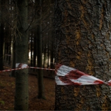 Le Périmètre – p. 6 Le Périmètre – p. 6