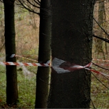 Le Périmètre – p. 7 Le Périmètre – p. 7