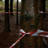 Le Périmètre – p. 9 Le Périmètre – p. 9