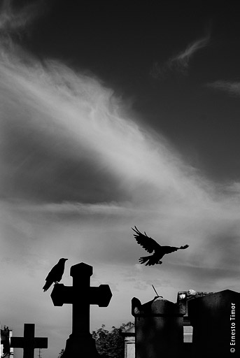 Photo © Ernesto Timor - 