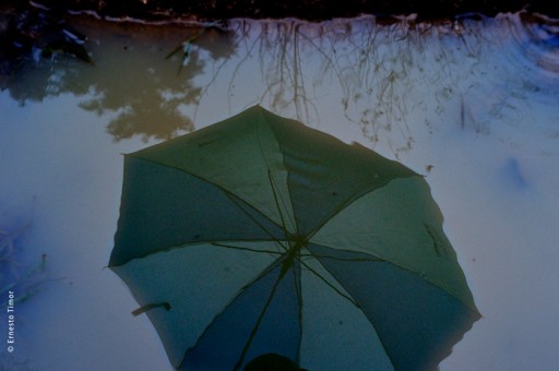 Photo © Ernesto Timor