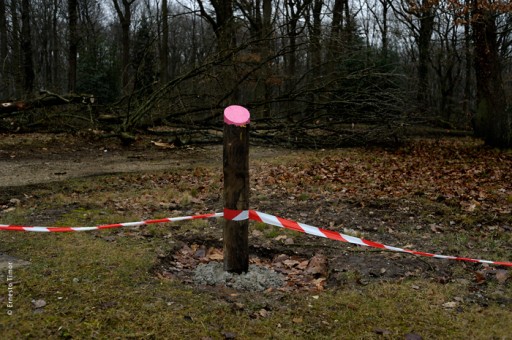 Cliquer pour agrandir Photo © Ernesto Timor