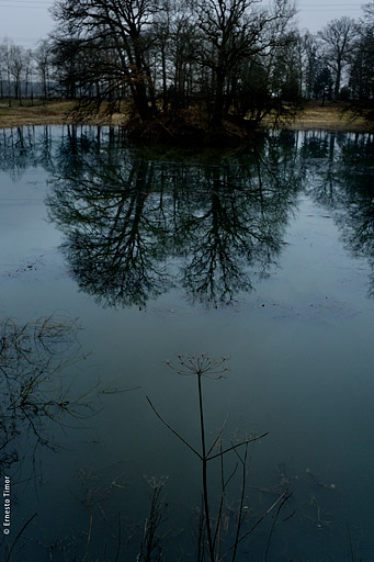 Quelque part (Je végète)