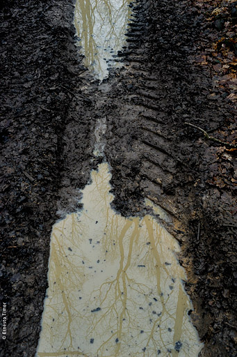 Rêvé pour l’hiver