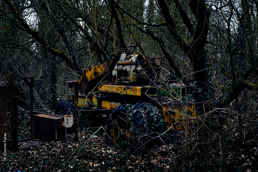 Dans le blanc des cartes