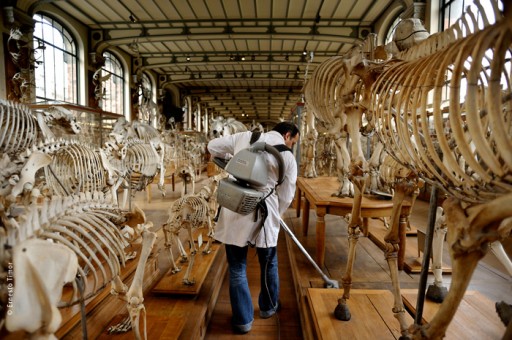 Photo © Ernesto Timor