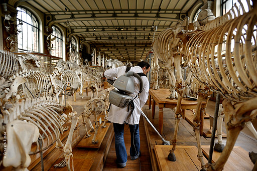 Les inventions oubliées : aujourd’hui la révolution