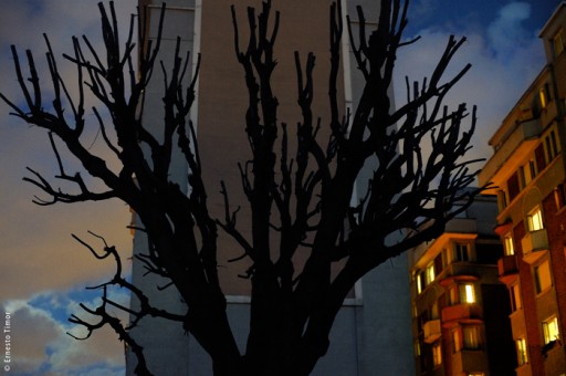 Cliquer pour agrandir Cliquer pour agrandir