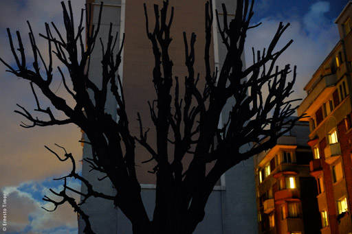 C’est comme ça tous les jours