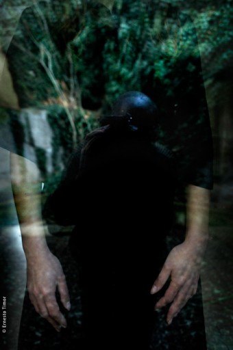 Cliquer pour agrandir