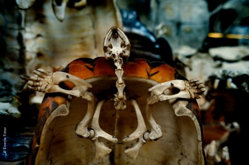 shot: mar 09 | printed: today | is there anybody in? | paris