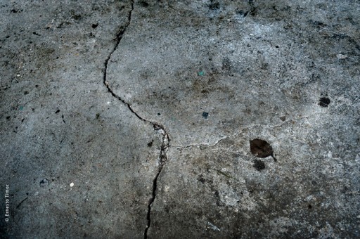 Photo © Ernesto Timor