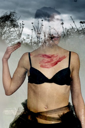 Photo © Ernesto Timor