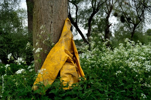 Photo © Ernesto Timor