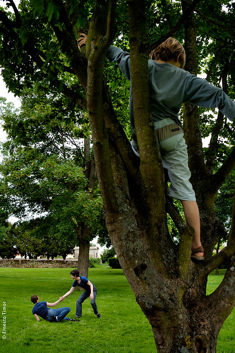 Les attractions nécessaires : aujourd’hui, les contemplations