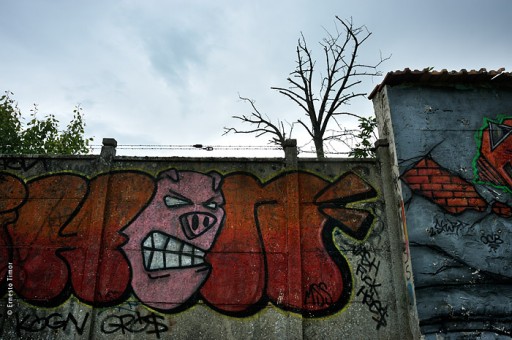 Cliquer pour agrandir Photo © Ernesto Timor