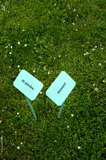 Photo © Ernesto Timor