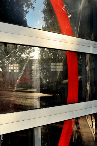 Cliquer pour agrandir Photo © Ernesto Timor