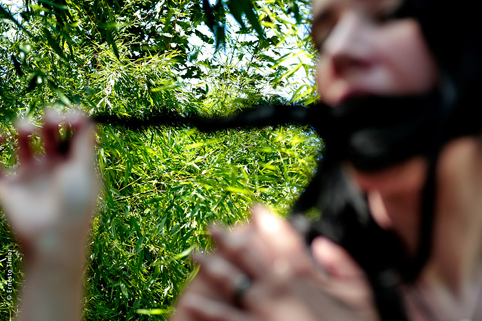 Electrocardiogramme à l’œil nu