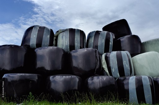 Photo © Ernesto Timor