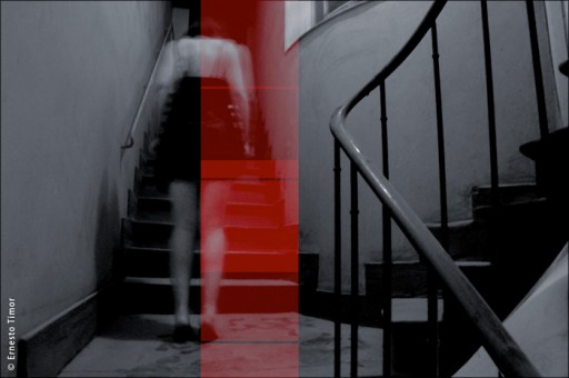 Photo © Ernesto Timor