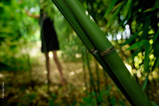 Photo © Ernesto Timor