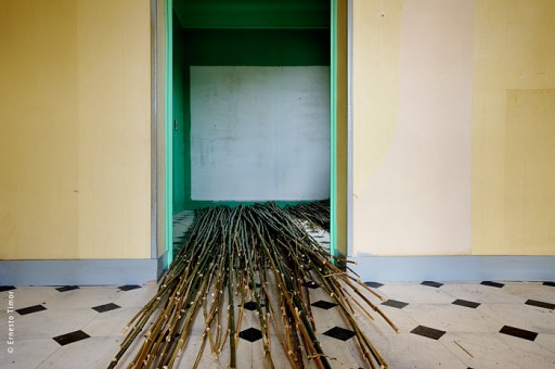 Photo © Ernesto Timor