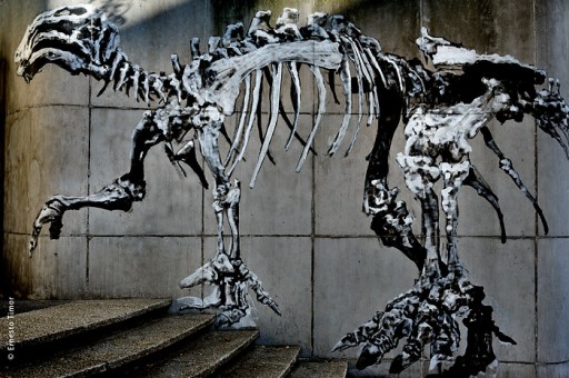 Photo © Ernesto Timor