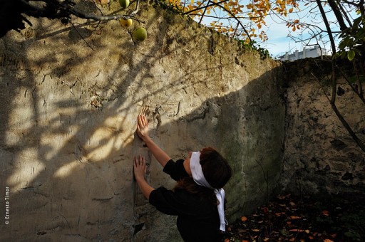 Cliquer pour élargir la perspective ! Photo © Ernesto Timor