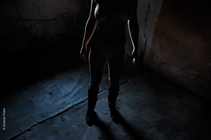 « C’était une année de Lièvre. »