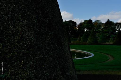 Photo © Ernesto Timor